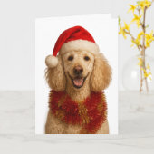 Poodle Christmas card Kaart (Gele Bloem)