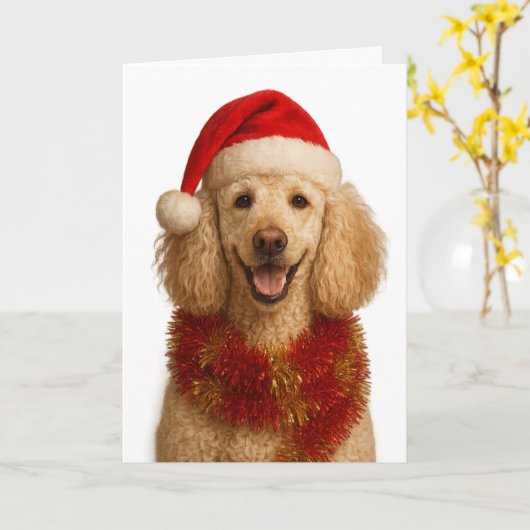 Poodle Christmas card Kaart (Gele Bloem)