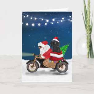 Poodle Christmas Kaart