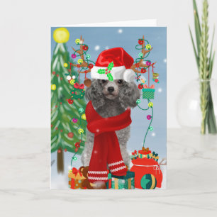 Poodle Christmas Kaart
