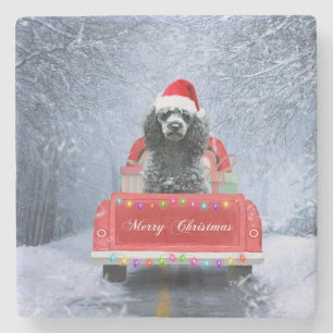 Poodle Christmas Stenen Onderzetter