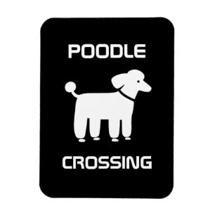 Poodle Crossing - Wit op zwart -  Magneet