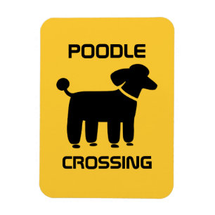 Poodle Crossing - Zwart op geel -  Magneet