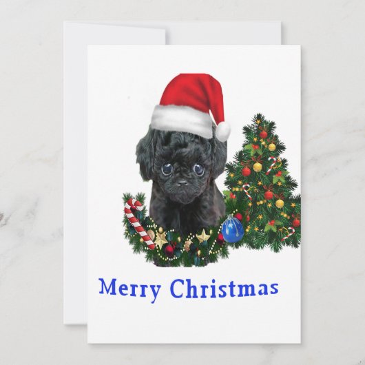 Poodle cute hond Kerstkaart (Voorkant)