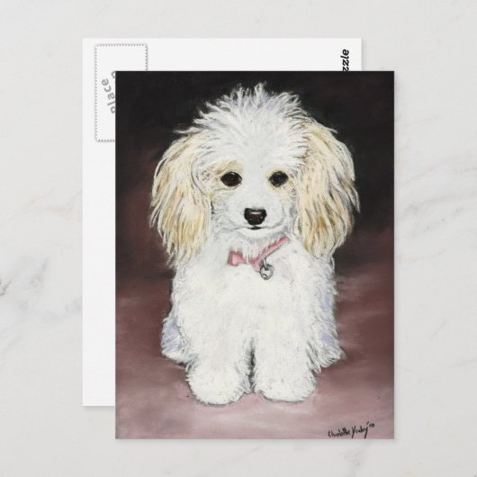 Poodle Dog Art Briefkaart (Voorkant / Achterkant)