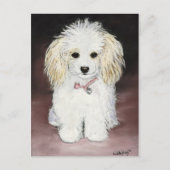 Poodle Dog Art Briefkaart (Voorkant)