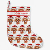 Poodle Dog Breed Christmas Stars Kleine Kerstsok (Voorkant)