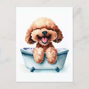 Poodle Dog Briefkaart