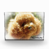 Poodle Dog Fotoblokken (Voorkant)