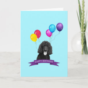 Poodle Dog Happy Birthday Wenskaart Kaart