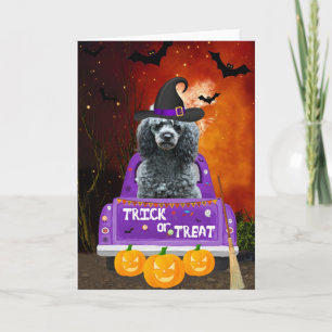Poodle Dog in Halloween Truck Kaart