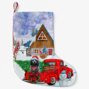 Poodle Dog in kerstbezorging vrachtwagen sneeuw Kleine Kerstsok