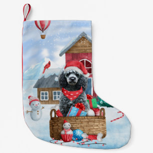 Poodle Dog in sneeuwkerstmis Kleine Kerstsok
