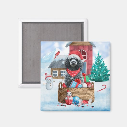 Poodle Dog in sneeuwkerstmis Magneet (Voorkant / Achterkant)