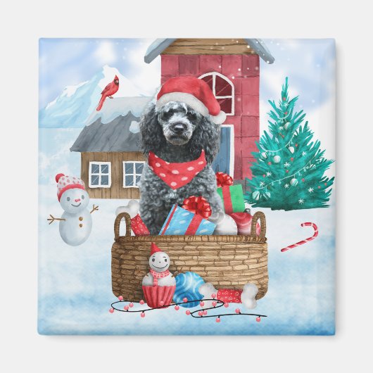 Poodle Dog in sneeuwkerstmis Magneet (Voorkant)