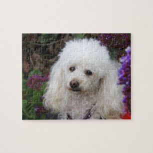 Poodle Dog Jigzaadpuzzel Legpuzzel
