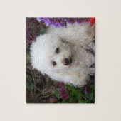 Poodle Dog Jigzaadpuzzel Legpuzzel (Verticaal)