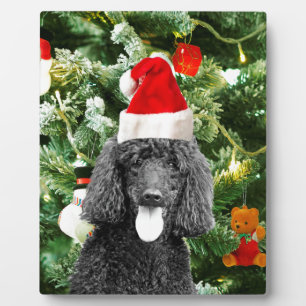 Poodle Dog kerstboom Snowman Red Santa Hat Fotoplaat
