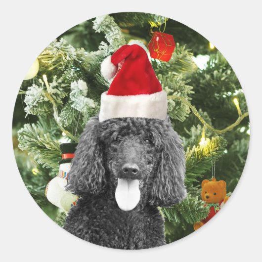 Poodle Dog kerstboom Snowman Red Santa Hat Ronde Sticker (Voorkant)
