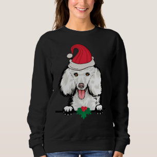 Poodle Dog Kerstmis Trui
