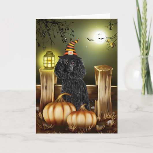 Poodle Dog met Heks Pet Halloween Kaart (Voorkant)