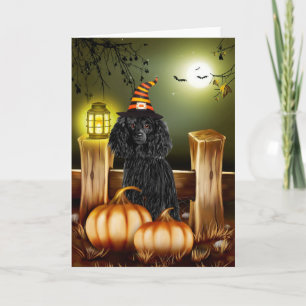 Poodle Dog met Heks Pet Halloween Kaart