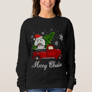 Poodle Dog Riding Red Truck Kerstdecoratie Trui
