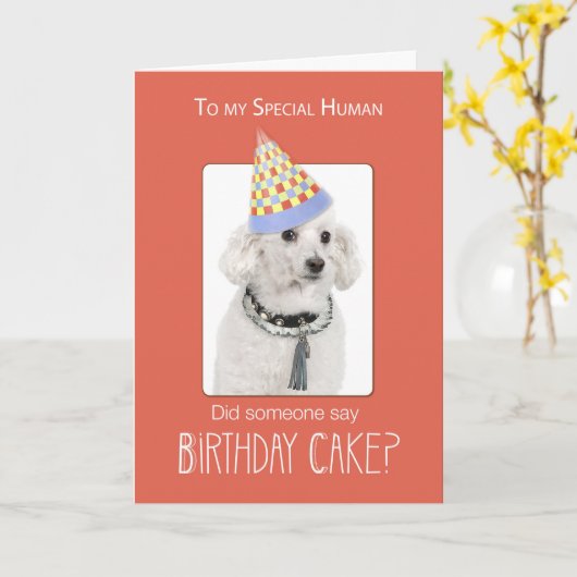 Poodle Dog to Human Birthday Humor, Oranje, Funny Kaart (Gele Bloem)