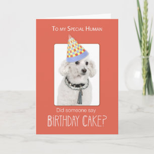 Poodle Dog to Human Birthday Humor, Oranje, Funny Kaart
