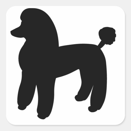 Poodle Dog Vierkante Sticker (Voorkant)