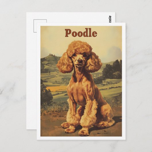 Poodle Dog Vintage Art Briefkaart (Voorkant / Achterkant)