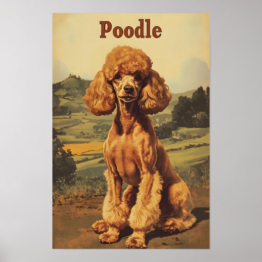 Poodle Dog Vintage Art Poster (Voorkant)