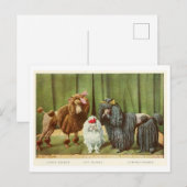 Poodle Dogs Postcard Briefkaart (Voorkant / Achterkant)