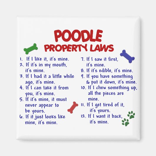POODLE Eigendomsrecht 2 Magneet (Voorkant)