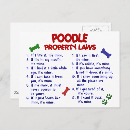POODLE Eigenschapwetten 2 Briefkaart (Voorkant / Achterkant)