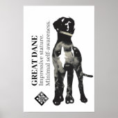 Poodle en Great Dane Poster (Voorkant)