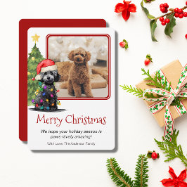 Poodle en kerstboom Pet Dog Eén foto Feestdagenkaart
