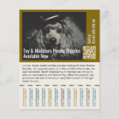 Poodle Flyer (Voorkant)