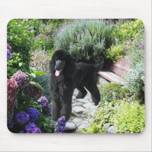 Poodle Garden Mousepad Muismat