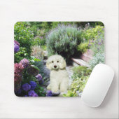 Poodle Garden Mousepad Muismat (Met muis)