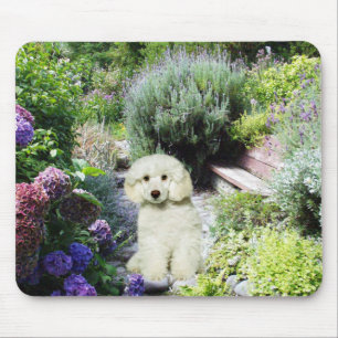 Poodle Garden Mousepad Muismat
