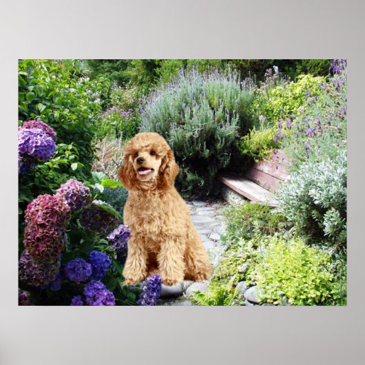 Poodle Garden Print (Voorkant)