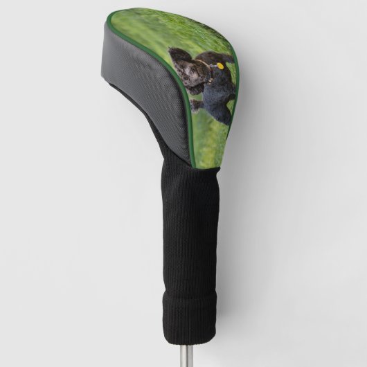 Poodle Golfheadcover (Schuin)
