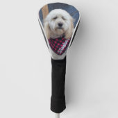Poodle Golfheadcover (Voorkant)