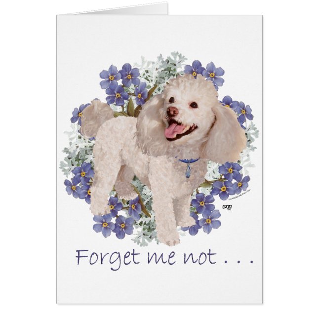 Poodle-herinneringen (Voorkant)