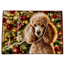 Poodle Holiday