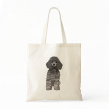 Poodle-hond huisdier
