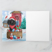 Poodle Hond In sneeuw Kerstmis Hondenhok Kaart (Binnen)