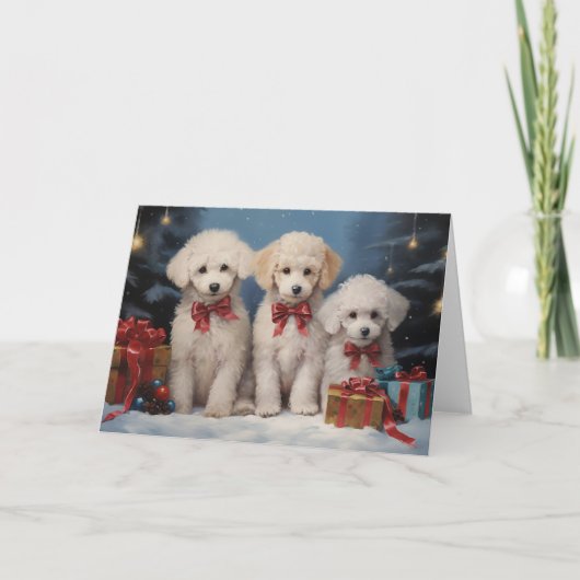 Poodle hond kerstkaart bedankkaart (Voorkant)