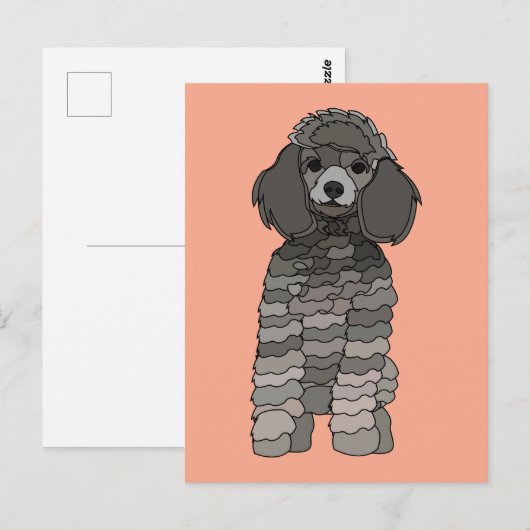 Poodle Hondenhuisdier Briefkaart (Voorkant / Achterkant)